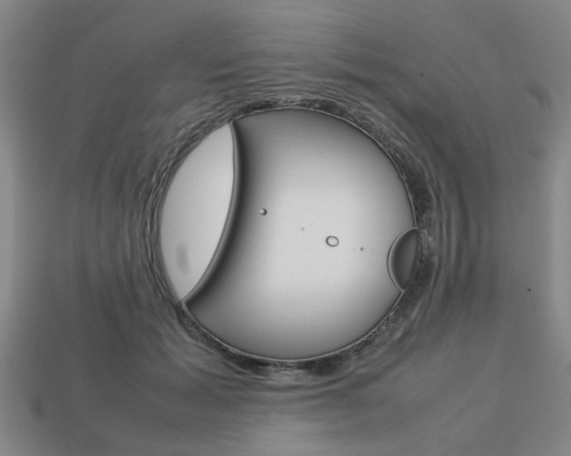 X0000113780605200909231042