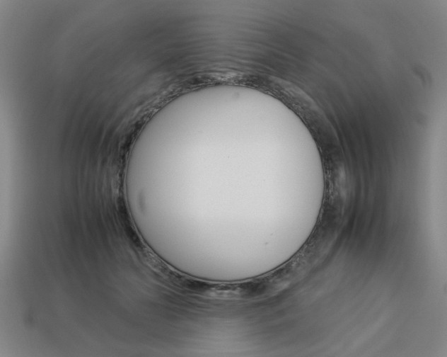 X0000113780606200909231042