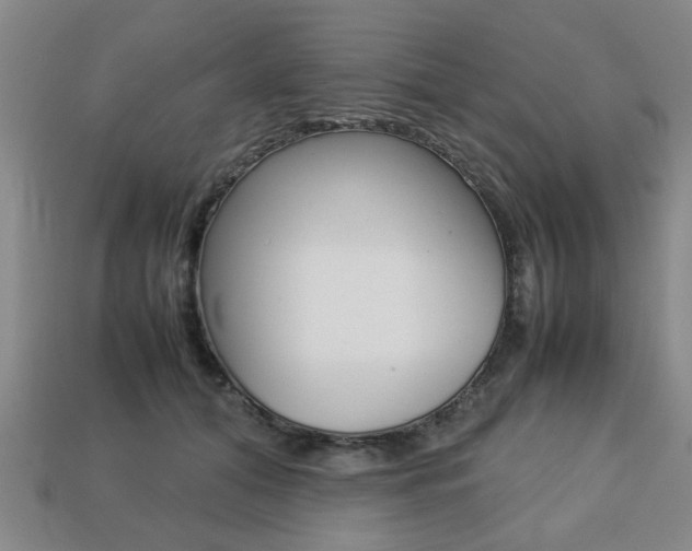 X0000113780608200909231042