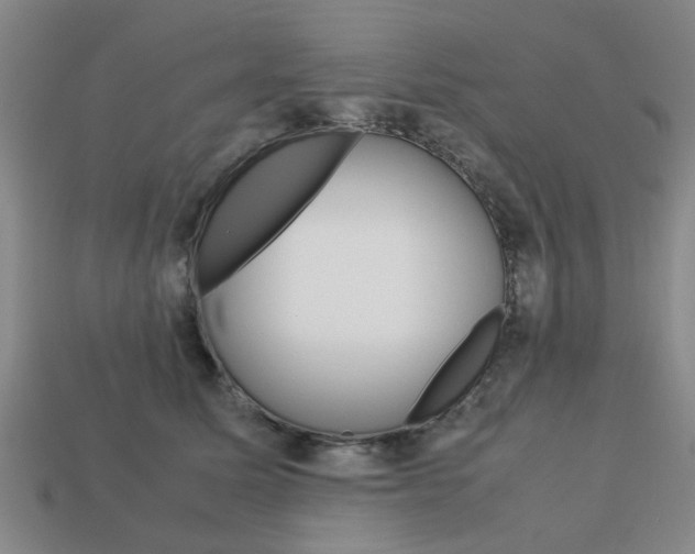X0000113780611200909231042