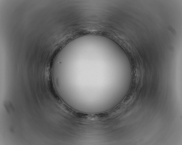 X0000113780612200909231042