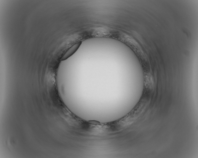 X0000113780621200909231042