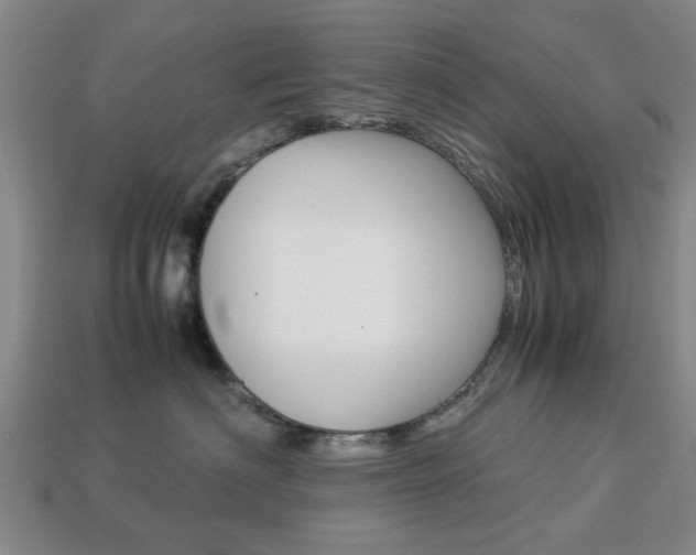 X0000113780622200909231042