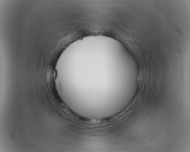 X0000113780623200909231042