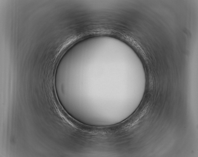 X0000113780625200909231041