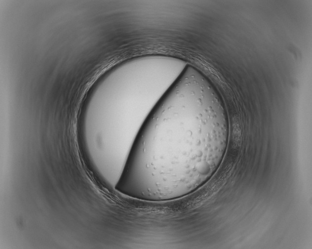 X0000113780626200909231041