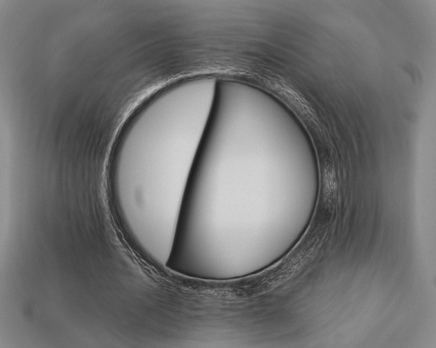X0000113780628200909231041