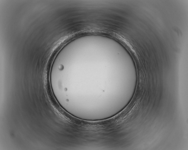 X0000113780629200909231041