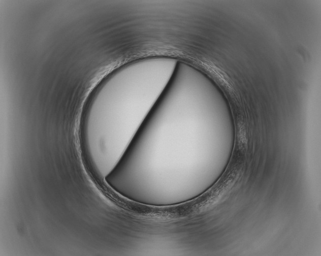 X0000113780630200909231041