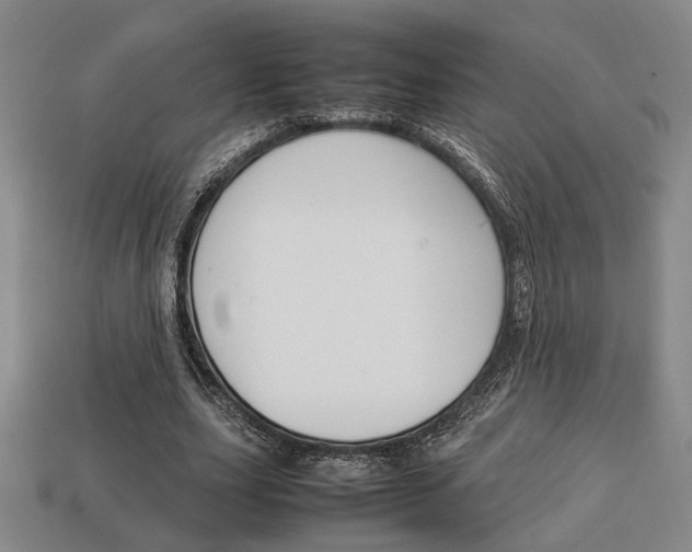 X0000113780631200909231041