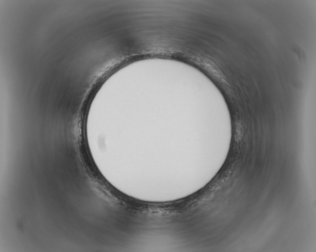X0000113780632200909231041