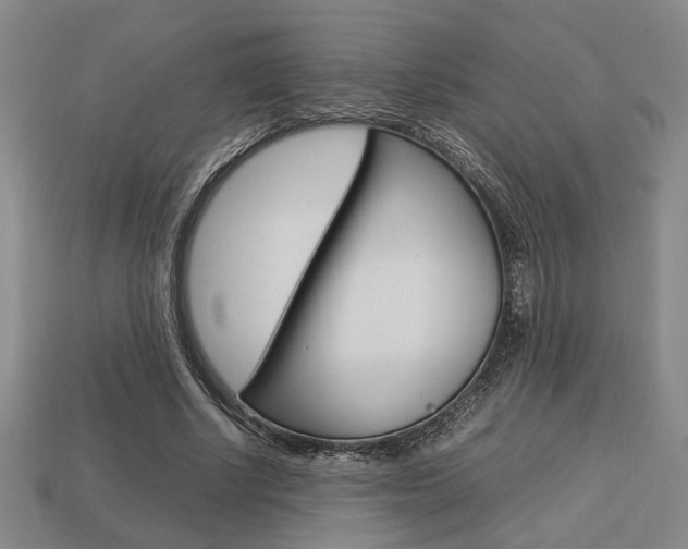 X0000113780634200909231041