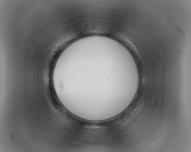 X0000113780635200909231041
