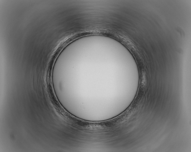 X0000113780636200909231041