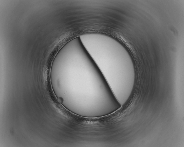 X0000113780637200909231041