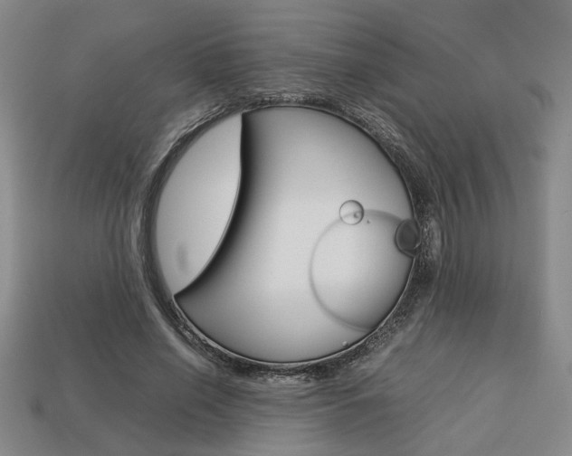 X0000113780638200909231041