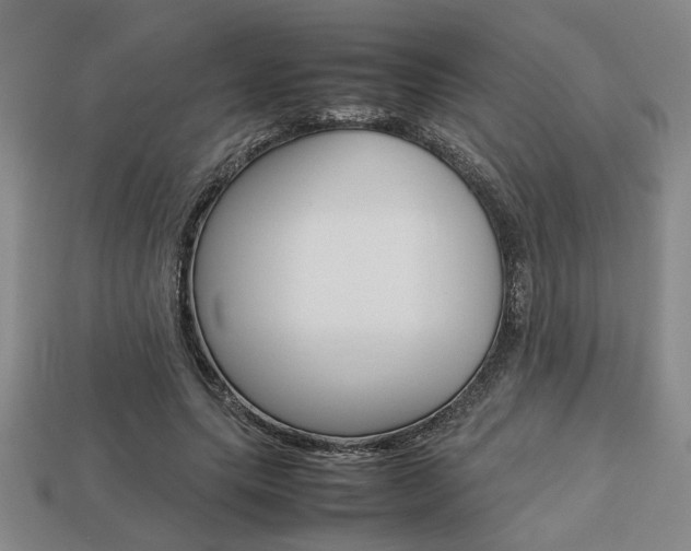 X0000113780639200909231042