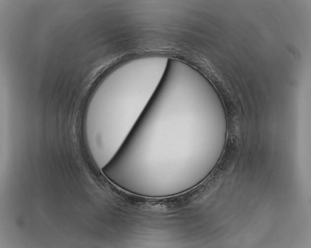 X0000113780640200909231042