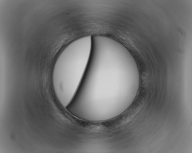 X0000113780642200909231042