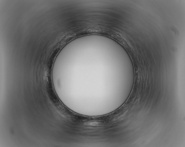 X0000113780643200909231042