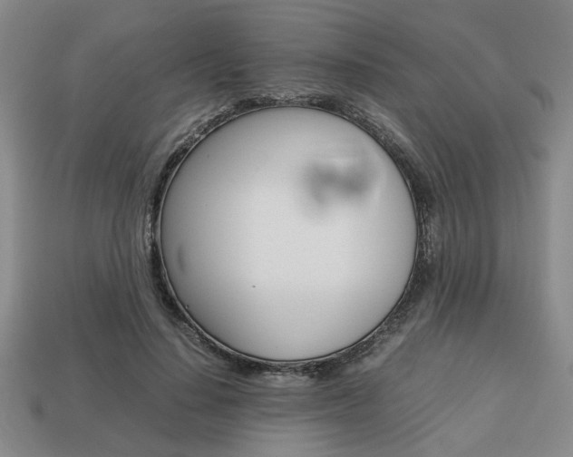 X0000113780644200909231042