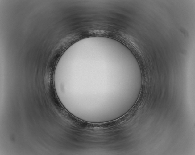 X0000113780645200909231042