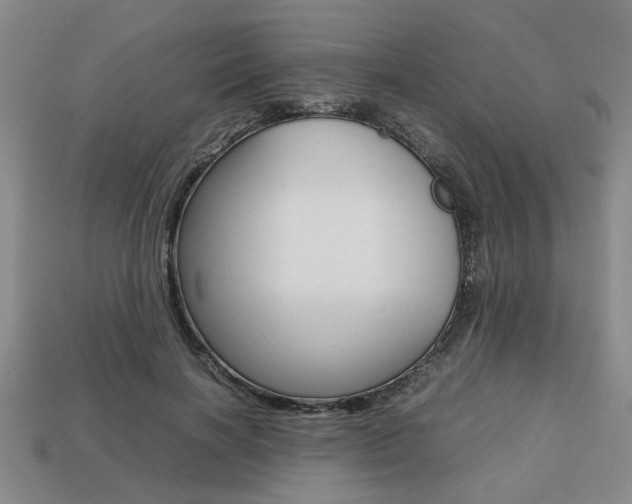 X0000113780646200909231042
