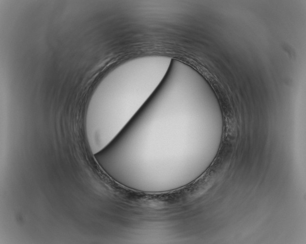 X0000113780648200909231042