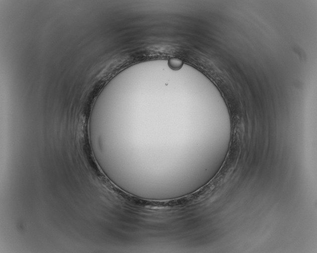 X0000113780649200909231042