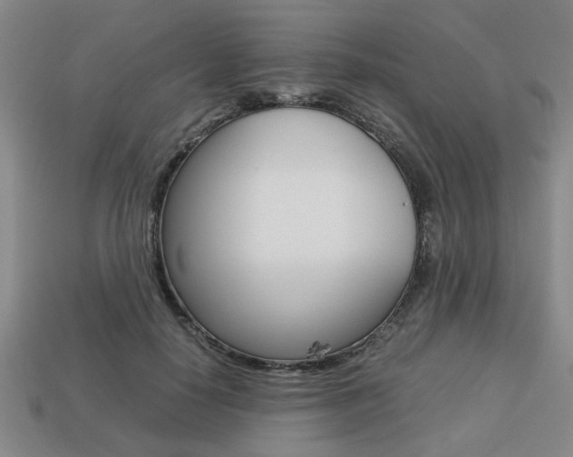 X0000113780650200909231042