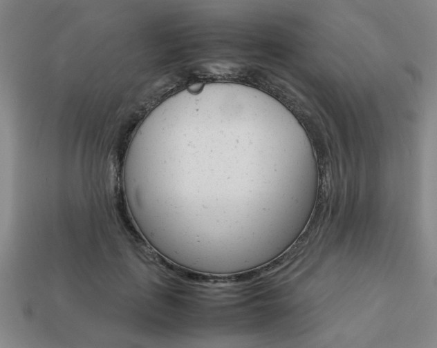 X0000113780651200909231042
