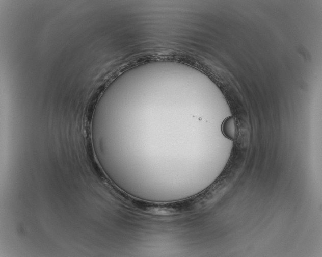 X0000113780654200909231042
