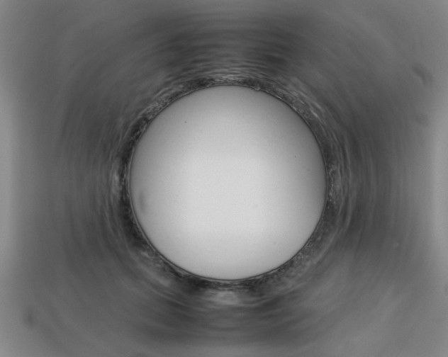 X0000113780655200909231042