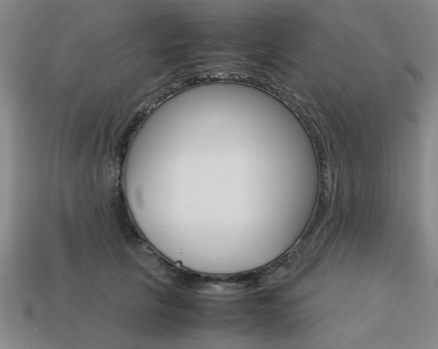 X0000113780657200909231042
