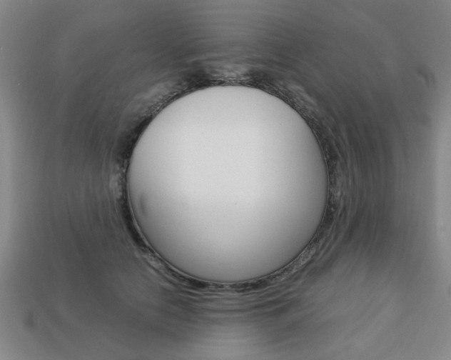 X0000113780658200909231042