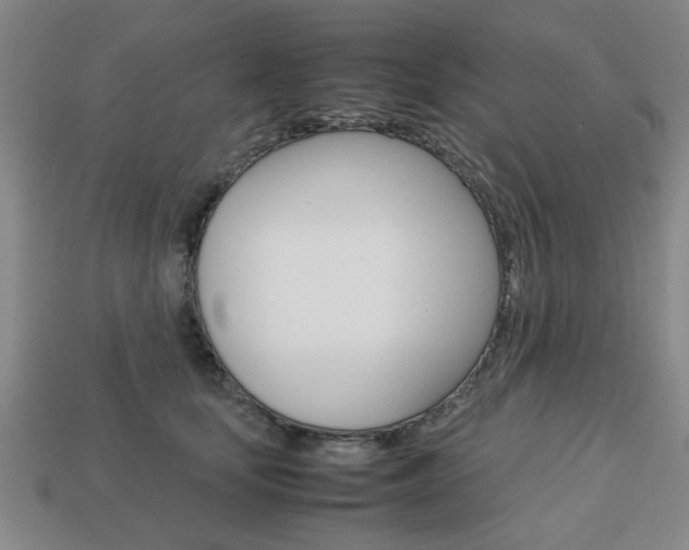 X0000113780659200909231042