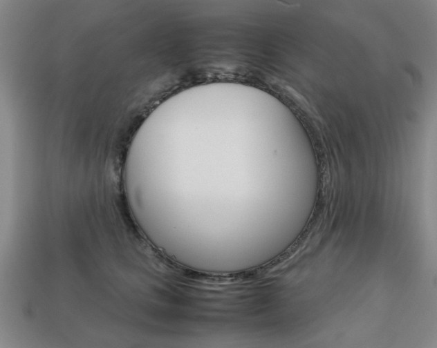 X0000113780661200909231042