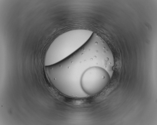 X0000113780662200909231042