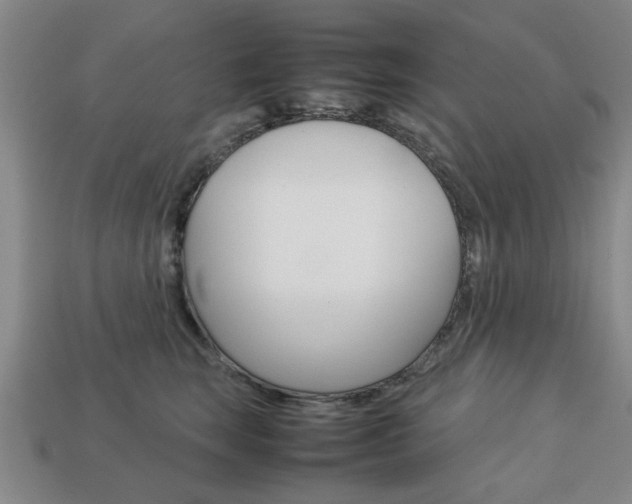 X0000113780663200909231042