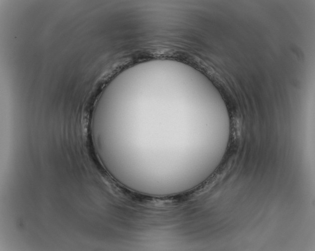 X0000113780664200909231042