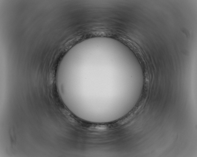 X0000113780665200909231042