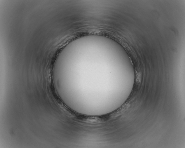 X0000113780666200909231042