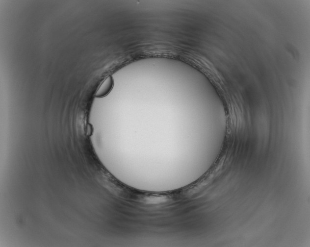 X0000113780669200909231042