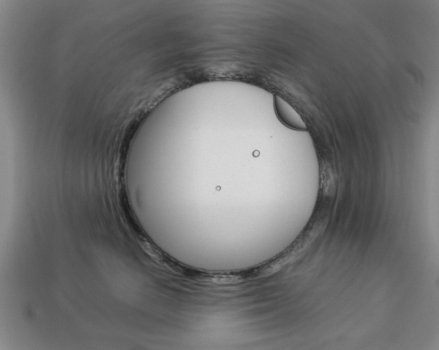 X0000113780670200909231042