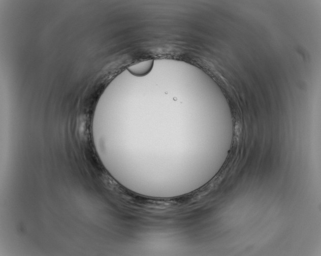 X0000113780671200909231042