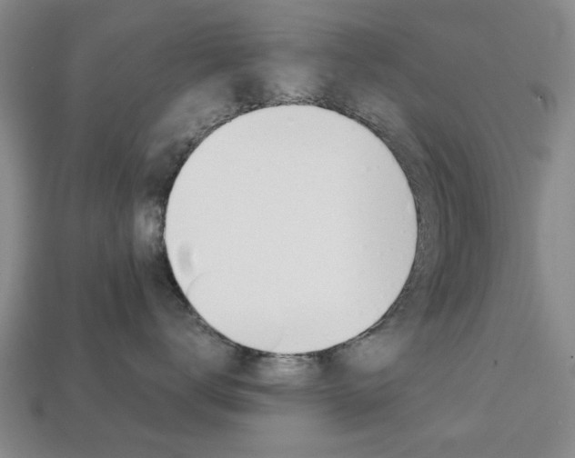 X0000113780672200909231042