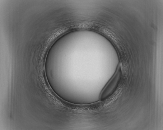 X0000113780673200909231041