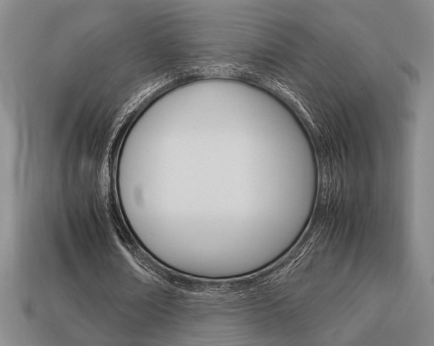 X0000113780674200909231041