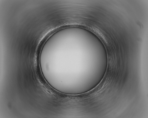 X0000113780676200909231041