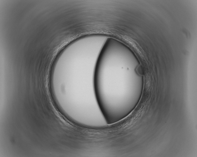 X0000113780677200909231041